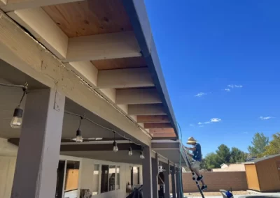 Professional Roofing